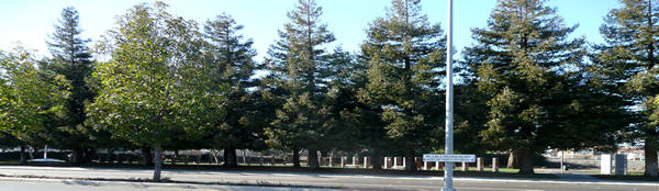 Main View of Flight 93 Memorial in Union City, California
